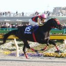 2008 February Stakes(G1) Vermilion(JPN) 이미지