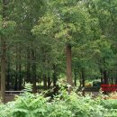 용인시대대보건진료소 이미지