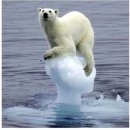 손가네칼국수 이미지