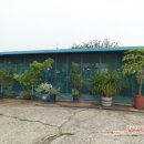 호동바닷가가든 이미지