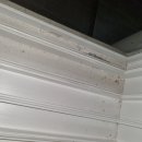 천마약품 이미지