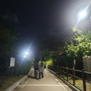 미니실내자전거 추천 칼로 리바이크 리얼 후기 할인 링크 알아냄!