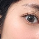 세명대구내안경 위드렌즈 | 세명대구내안경 위드렌즈 세명대점에서 허니원데이 그레이 구입후기