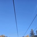 세이보석 이미지