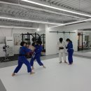 Dream of Judo 태평유도관 이미지