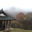 순천-25호 이미지