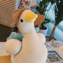 오리당 이미지