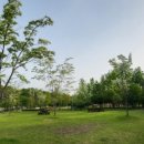 강당말공원 이미지