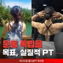 바디다짐 이미지