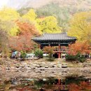 2026년 10월 10일 전남 장성 백암산 산행(431차) 이미지