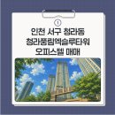 엑슬루타워공인중개사사무소 | 인천서구청라동 청라풍림엑슬루타워 오피스텔 매매