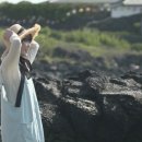 가방민박 이미지