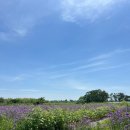 동남로41번길 이미지