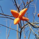 엄나무골농장 이미지