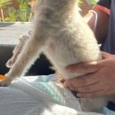 페트로 동물병원 이미지