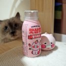 GS25 남이그린힐점 | 맛삼춘 딸기우유 GS25 신상 재고찾기 예약 방법