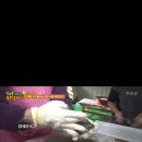 쑥밭2천 네이버블로그