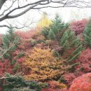 임실고등학교 이미지