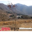 강림면321 이미지