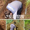 충주시 공설묘지 이미지