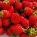 조안 농장 이미지