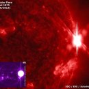 x등급 태양 솔라플레어 지구방향으로 터짐.아이손 11월5일~6일사이경 지구공전궤도진입 이미지