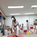 늘품태권도 이미지