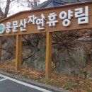 용문산자연휴양림 이미지