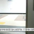 보배드림에 올라온 승강기녀 이미지