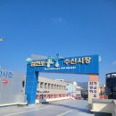 삼천포 회수산 | 가수 박서진님 고향 사천 삼천포 수산시장 정복! 싱싱한 회 쌈 싸 먹고 온 힐링 후기 (feat. 상차림 식당)