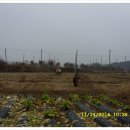 늘푸른농원 이미지