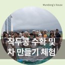 우리가 Green | [함께 GREEN 우리 동네] 하반기 연대 활동 – 작두콩 수확 및 차 만들기 체험 후기