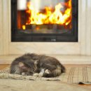 한일카본 이미지