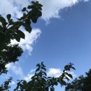 삼도봉 해인펜션 이미지