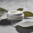 엔디어트의원 이미지