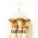 다온다푸드