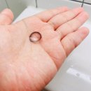 글라스 ONE 위드렌즈 동래점 | 위드렌즈 시그니처 렌즈_뉴트럴무드 글라스원 위드렌즈 부산동래점 데일리 그레이렌즈 추천