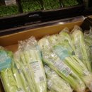 영국 아스다 마트 장보기 리스트 &amp; 선물, 기념품 추천