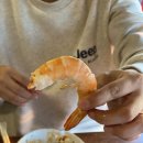 유나포차 이미지