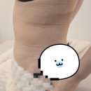 벨르하