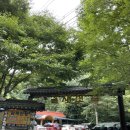 원골능이백숙 | [내돈내산] 천안 광덕산 능이닭백숙 '갈재산장' 후기