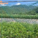 주남네거리 이미지