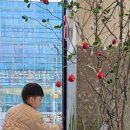 하늘별소아청소년과의원 이미지