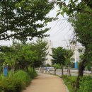 안양천 산책로 이미지