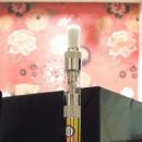 젠트코리아 이미지