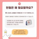 성북길빛도서관 이미지