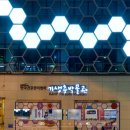 기생충박물관 이미지