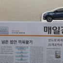 톰슨전단