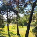 안성컨트리클럽 | ⛳️가을 골프의 정석! 한림안성CC 9홀 2번 솔직 체험 후기 (feat. 가성비 끝판왕 셀프 라운딩 꿀팁)