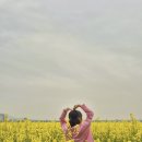 연지유치원 | 김해튤립 연지공원 부산유채꽃 대저생태공원 꽃놀이 후기